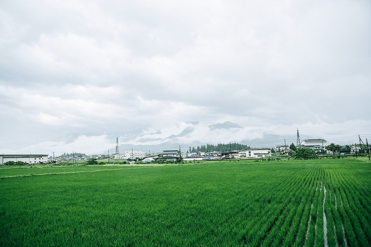 信州の山々