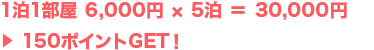 1泊1部屋 30,000円 × 2泊 ＝ 60,000円 ＞ 300ポイントGET！