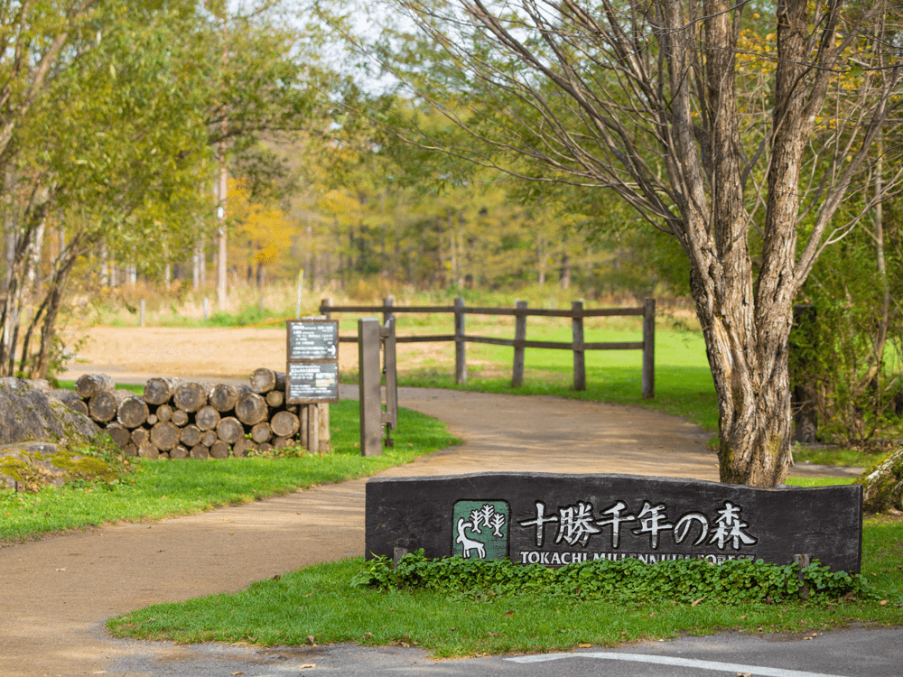 道