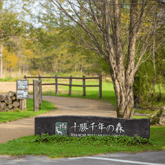 道