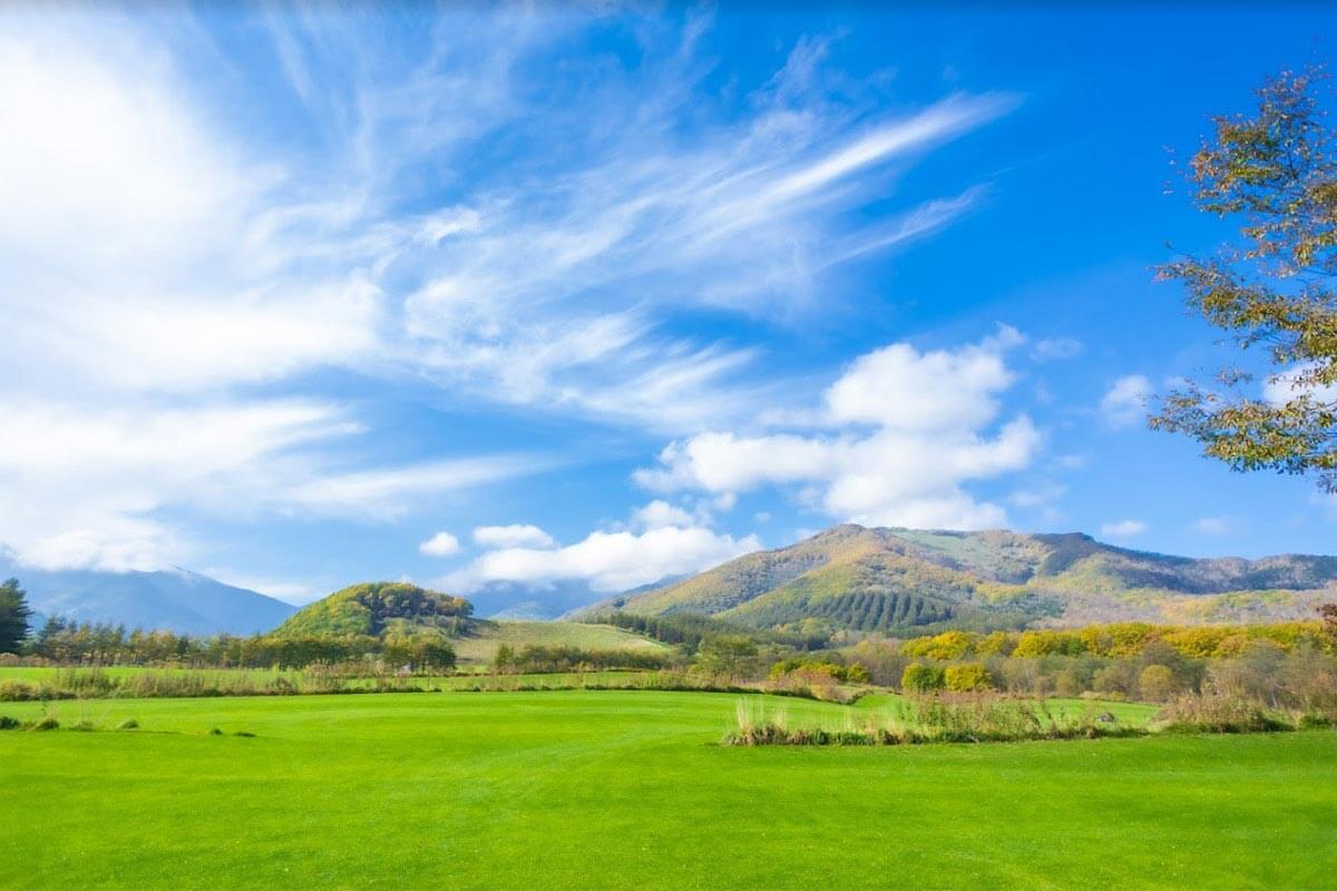 “世界でもっとも美しい庭園”を持つ十勝千年の森