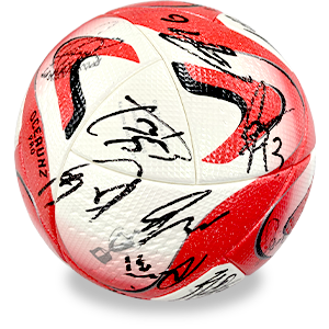 選手サイン入り試合使用球