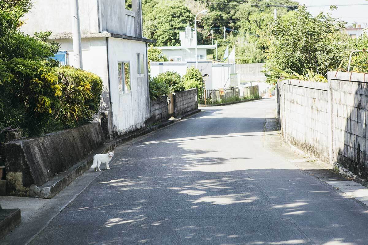 のどかさを感じる静かな住宅地、南城市内の農村部にあるリスティング周辺環境