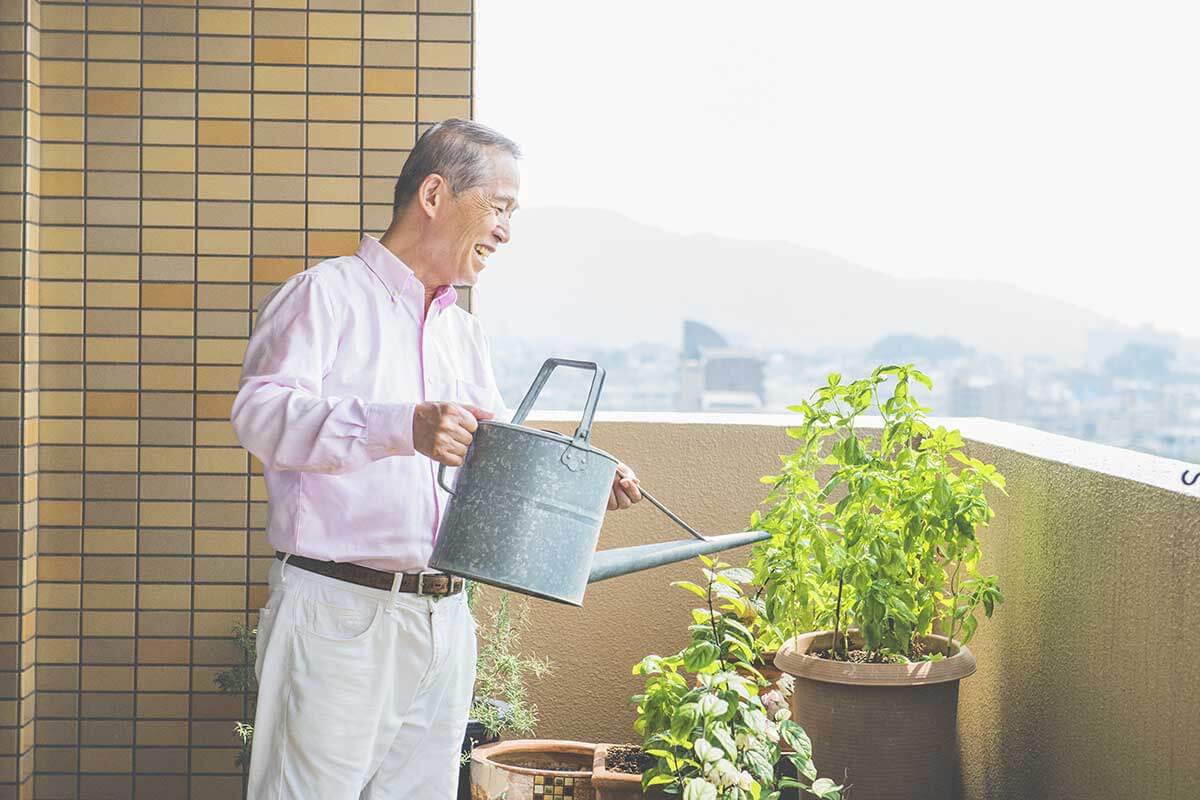 ベランダでバジルを育てている、Yasuyukiさんのリスティング