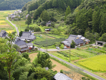 豊かな自然に育まれた兵庫のまち “丹波篠山”