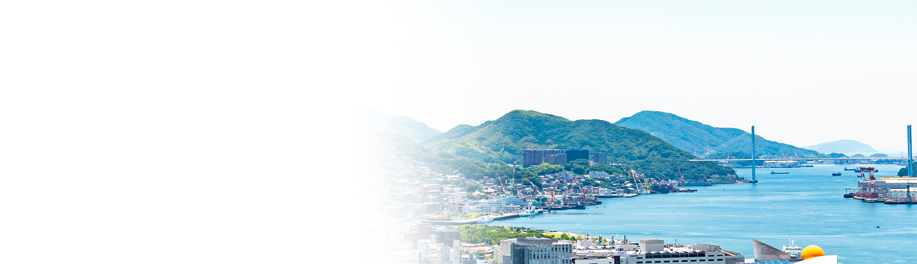 For Local Government