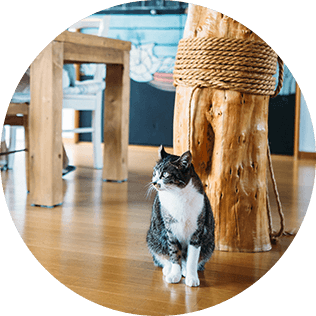 サポートサービス