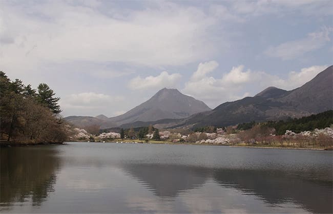 別府市旅館ホテル組合連合会がAirbnbと提携