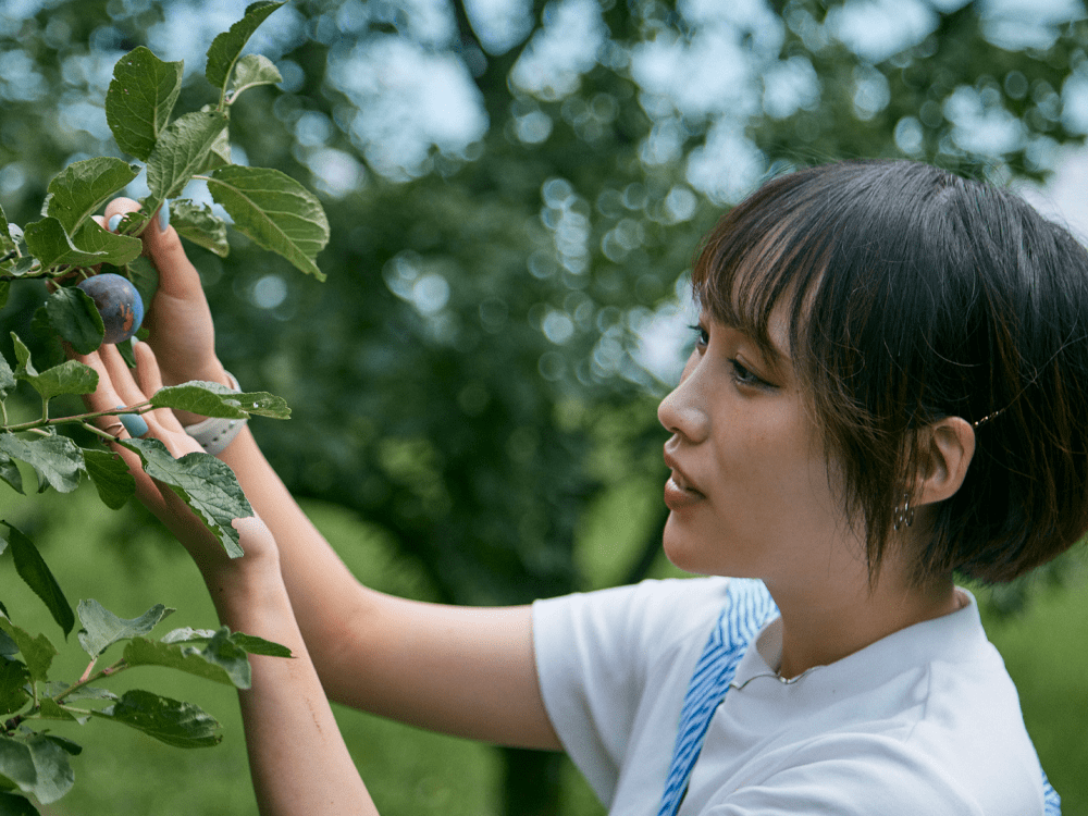 フルーツガーデン